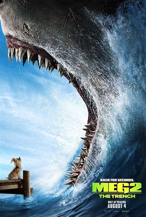 The meg 2 full movie. Things To Know About The meg 2 full movie. 